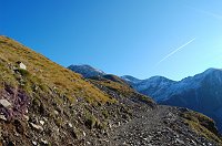 02 Su bella mulattiera verso il lago Moro